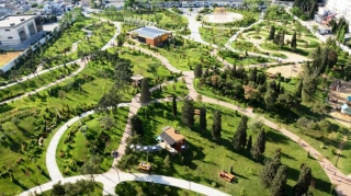 Bakıda adambaşına düşən yaşıllıq norması standartlardan aşağıdır - EKOLOQ 