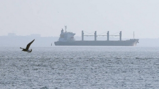 Ukraynadan ərzaq daşıyan daha 12 gəmi yola düşüb 