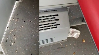 Sürücü “BakuBus”u zibilləyən  sərnişinləri çəkib paylaşdı  - VİDEO