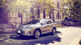 "Lexus RX" modeli iki yeni versiyaya sahib olub