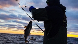 Qanunsuz balıq ovlayan şəxslər cəzalandırılıb