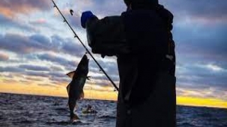 Qanunsuz balıq ovlayan şəxslər cəzalandırılıb 