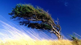 Küləkli hava şəraiti ilə bağlı sarı və narıncı - XƏBƏRDARLIQ 