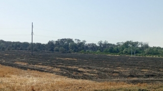 Şabranda baş verən yanğınla əlaqədar 1 nəfər məsuliyyətə cəlb edilib      - FOTO