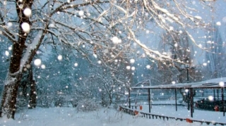 Aprel ayında Azərbaycana hava sürprizi - Ciddi risk var? 