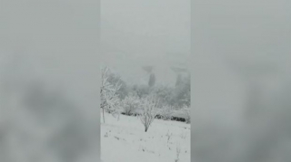 Qar Laçını bəyaza bürüdü  - VİDEO