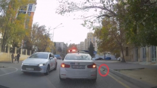 Yol polisindən sürücülərə nümunə olan addım: Göyərçinin həyatını xilas etdi  - VİDEO