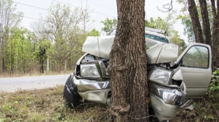 В Габале автомобиль врезался в дерево и загорелся, есть погибший и пострадавшие 