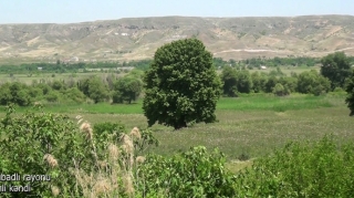 Qubadlının Tinli kəndi - VİDEO