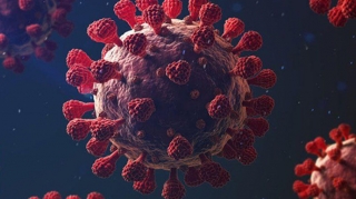 Daha təhlükəli ştammlar yarana bilər - ÜST 