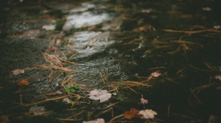 Sabahın hava proqnozu açıqlanıb 