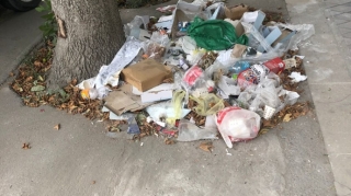 Qəbələdə ətraf mühiti çirkləndirən şəxslər cərimələndi