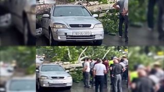 İsmayıllıda ağac qoparaq avtomobilin üzərinə aşdı   - VİDEO