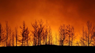 Türkiyənin Bodrum şəhərində meşə yanğını söndürülüb