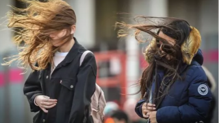 МЧС обратилось к населению в связи с ветреной погодой 