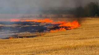Füzulidə minalı sahə yanır, helikopter göndərildi 