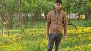 Saatlıda narkotik tərkibli bitkilər yetişdirən şəxs saxlanıldı  - FOTO