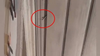 Azərbaycanda uşaq bağçasında DƏHŞƏT   - VİDEO