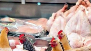 Kənd toyuğu, yoxsa broyler toyuğu yeyək? - Qida eksperti SİRLƏRİ AÇDI 