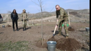 İlham Əliyev və Mehriban Əliyeva Zəngilanda çinar əkdilər - FOTO