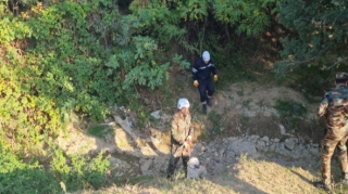 Azərbaycanda 3 yaşlı uşaq meşədə itkin düşdü   - FOTO