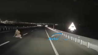 Sürücülərin diqqətinə; Bu yolda asfalta uzanıb sizi tələyə salmaq istəyə bilərlər - VİDEO 