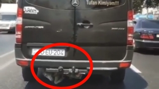 Bakıda sürücü qoyunu görün harda aparır - VİDEO