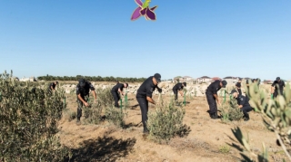 Polis əməkdaşları Anım Günü ilə əlaqədar ağac əkiblər  - FOTO