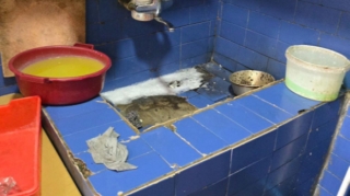 Novxanıda fəaliyyət göstərən kafedə nöqsanlar aşkarlanıb  - FOTO