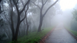 Yollardakı vəziyyətlə bağlı sürücülərə XƏBƏRDARLIQ 