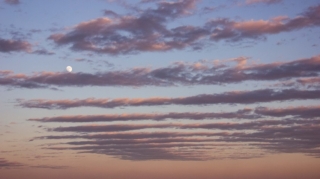 Sabah Bakıda 12 dərəcə isti olacaq