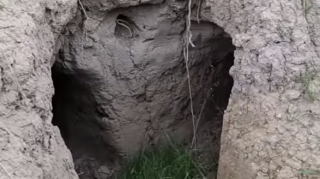 Ermənilərin Füzulidə gizli istehkam yuvası tapıldı - VİDEO 