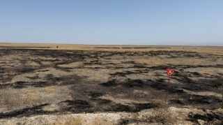 Cəbrayılda yanğına səbəb olan şəxslər saxlanıldı - FOTO