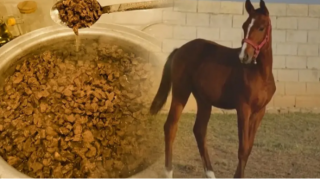 Kasıblara payladıqları qovurma at ətindən hazırlanıbmış - FOTO