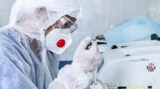 Müalicəsi olmayan ölümcül virus yayılmağa başlayıb - "Nipah" 