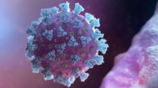 Koronavirusa xas olan bir xüsusiyyətin izahı verilib