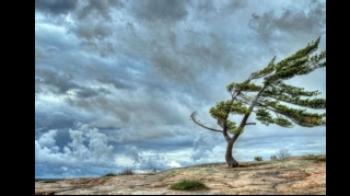 Sabahın hava proqnozu AÇIQLANDI 