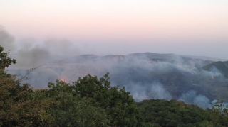 Şəmkirdə dağlıq ərazidə yanğın başlayıb