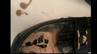 Житель Ширвана пытался передать отбывающему срок соседу наркотики