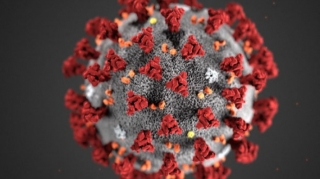 Koronavirusun ən dəqiq 3D modeli yaradılıb  - VİDEO