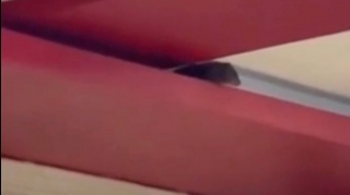 Bakıda şok hadisə:  restoranda siçovul tapıldı - REAL VİDEO 