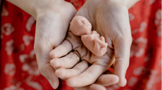 Во дворе Сумгайытской городской детской больницы обнаружен 8-месячный плод 