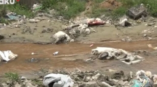 Mənbəyi bilinməyən axıntı Pirallahını zibilxanaya çevirdi  - VİDEO