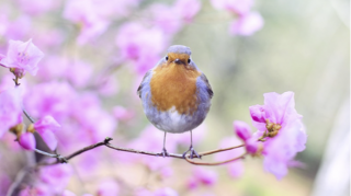 Прогноз погоды в Азербайджане на 5 марта 