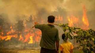 Türkiyədəki meşə yanğınlarının maddi zərəri açıqlanıb  - VİDEO