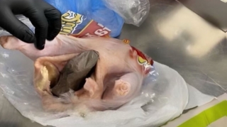 Toyuğun içində təyyarəyə silah keçirilməsinin qarşıdı alındı - FOTO 