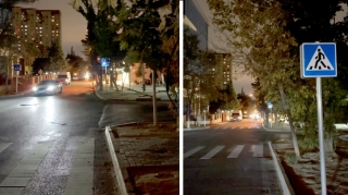 Bakıda ağacların budaqları arasında qalan yol nişanı – Sürücülər cərimələnir - VİDEO 