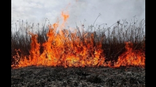 В Шахдагском национальном парке произошел пожар