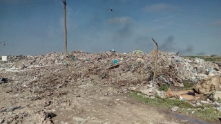 “Məişət tullantıları Sumqayıtda böyük ekoloji problem yaradır”