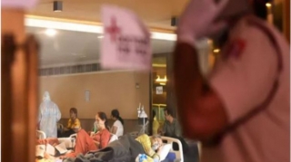 Hindistanda "qara kif"ə kütləvi yoluxma qeydə alınıb